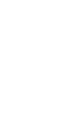Linaje Reiki